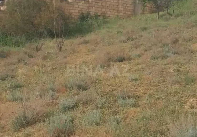 6 sot Torpaq Satılır, Saray, Abşeron