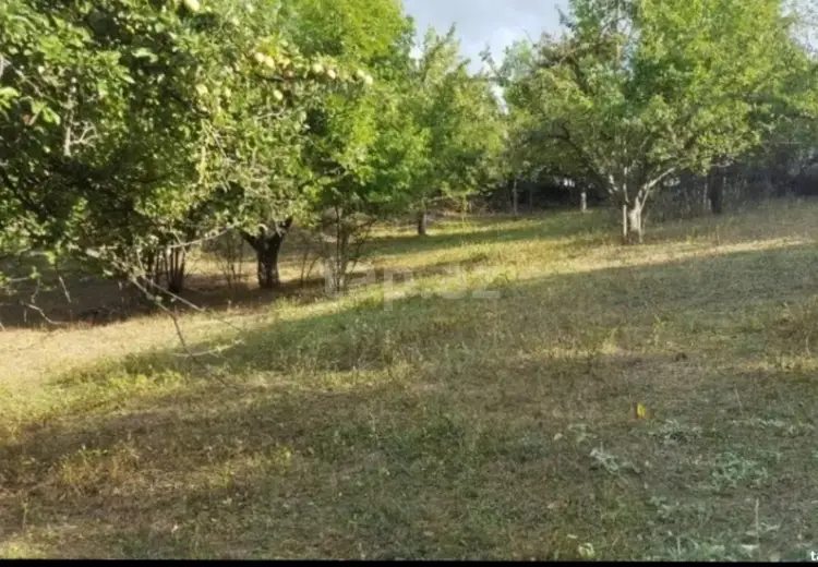 0 m² Obyekt / Ofis , Bakı