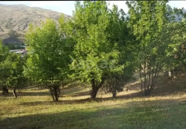 0 m² Obyekt / Ofis , Bakı