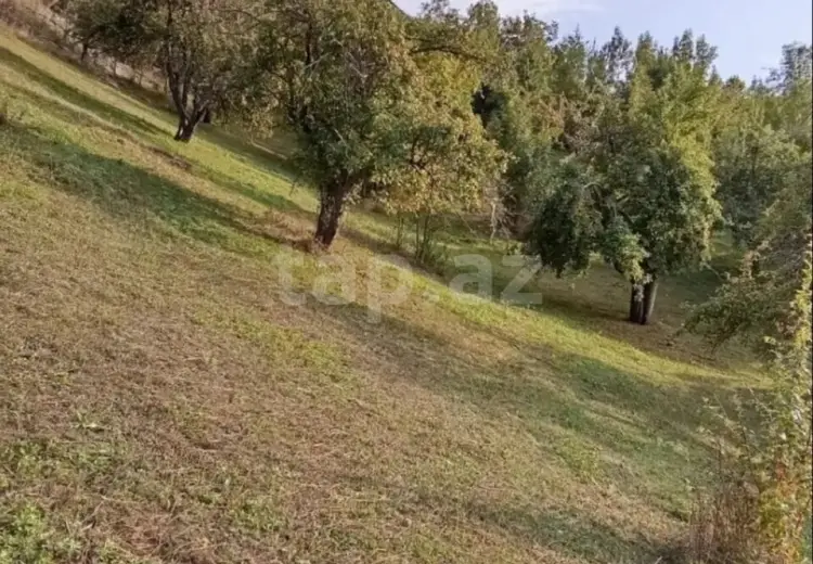 0 m² Obyekt / Ofis , Bakı