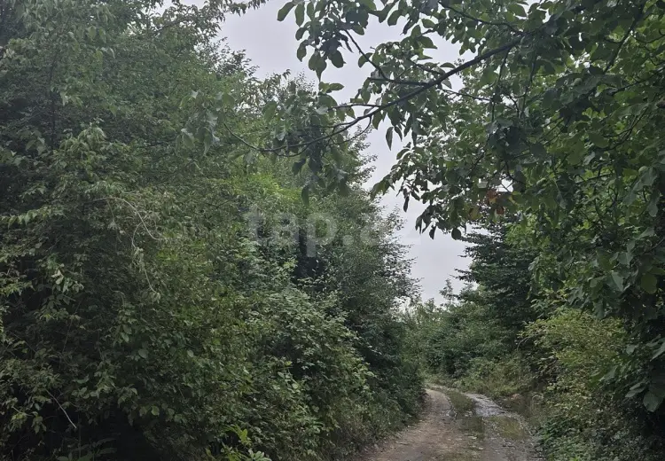 0 m² Obyekt / Ofis , Qusar