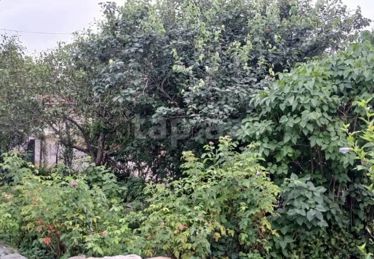 0 m² Obyekt / Ofis , Xızı