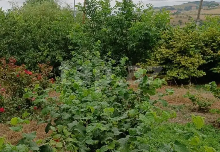 0 m² Obyekt / Ofis , Xızı