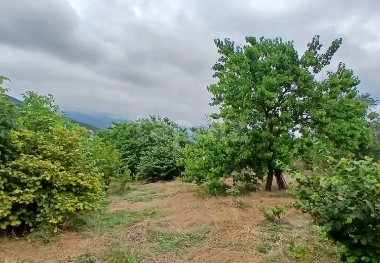 0 m² Obyekt / Ofis , Xızı