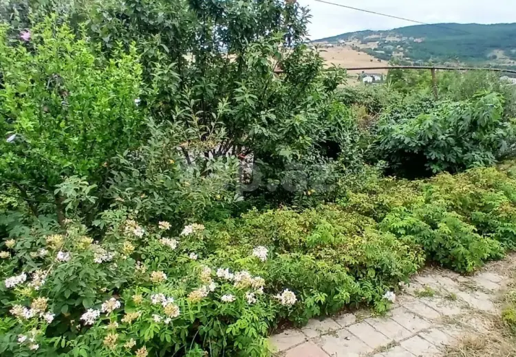 0 m² Obyekt / Ofis , Xızı