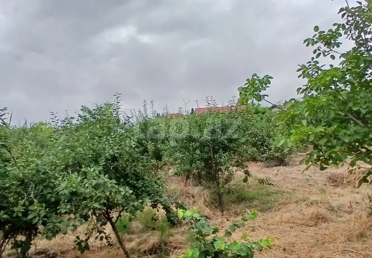 0 m² Obyekt / Ofis , Xızı