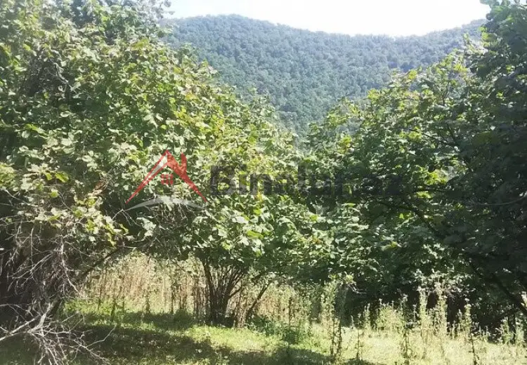 18 sot Torpaq Satılır, Qax