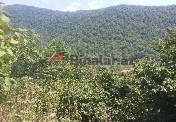 18 sot Torpaq Satılır, Qax