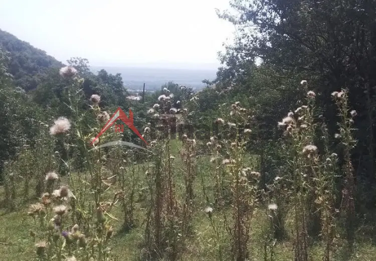 18 sot Torpaq Satılır, Qax