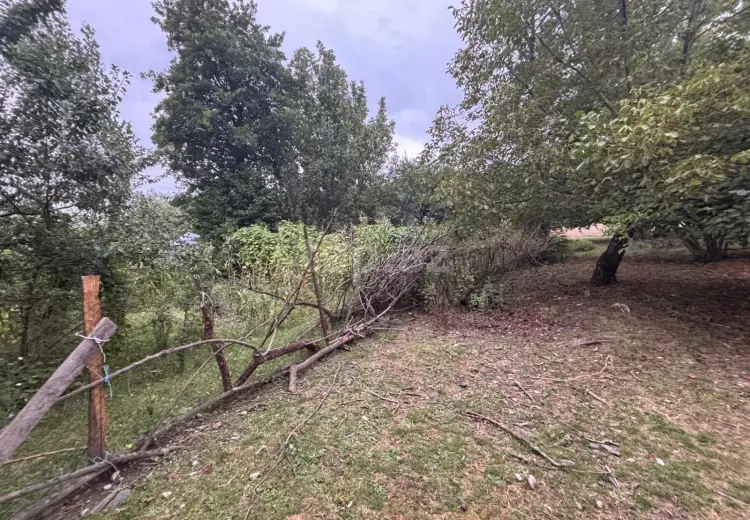 0 m² Obyekt / Ofis , Qəbələ