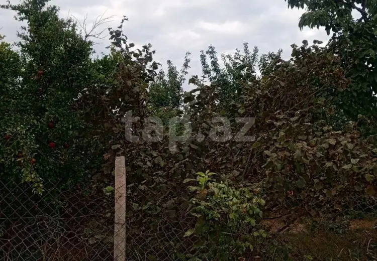 0 m² Obyekt / Ofis , Xaçmaz
