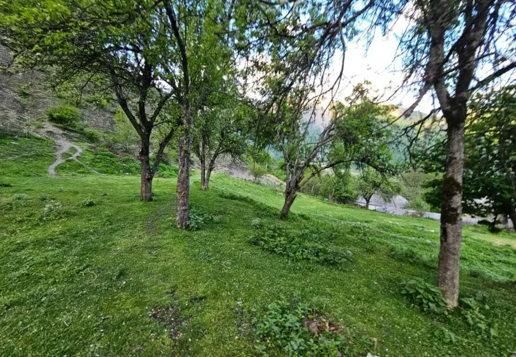 8 sot Torpaq Satılır, Qəbələ