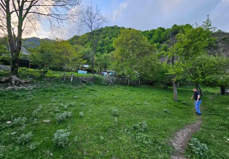 8 sot Torpaq Satılır, Qəbələ