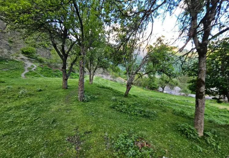 0 m² Obyekt / Ofis , Qəbələ