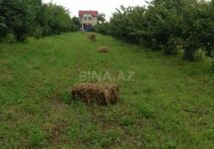 200 sot Torpaq Satılır, Xudat