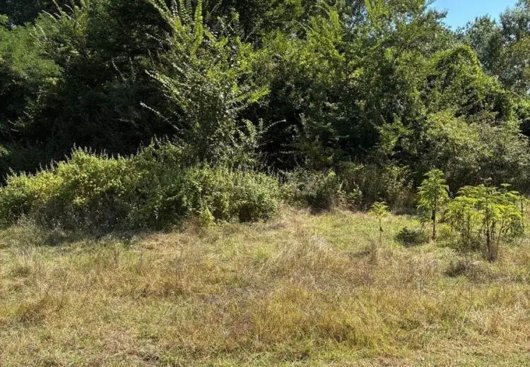 8 sot Torpaq Satılır, Nabran
