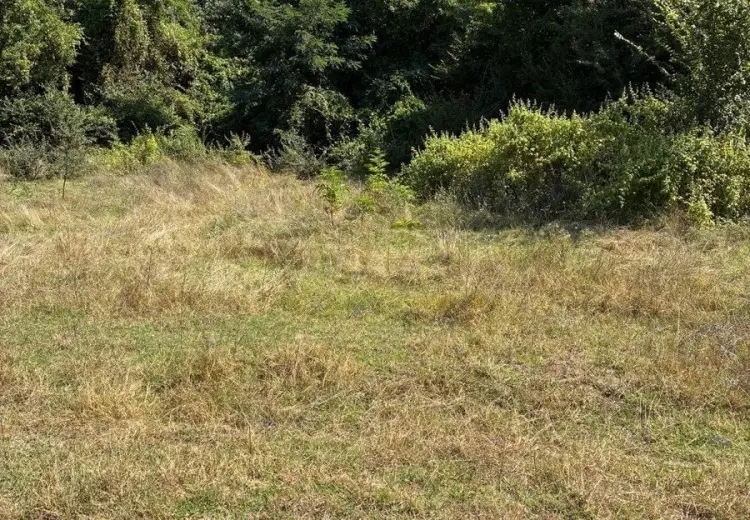 8 sot Torpaq Satılır, Nabran