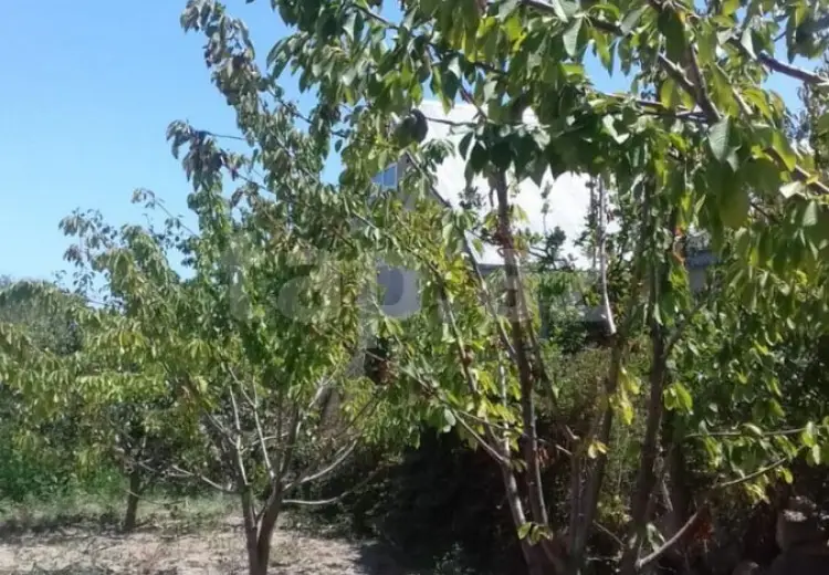 5 otaqlı mənzil , Xaçmaz
