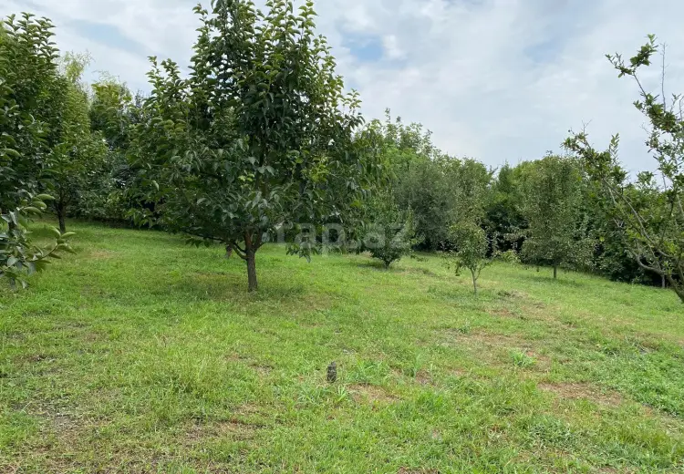 0 m² Obyekt / Ofis , Xaçmaz
