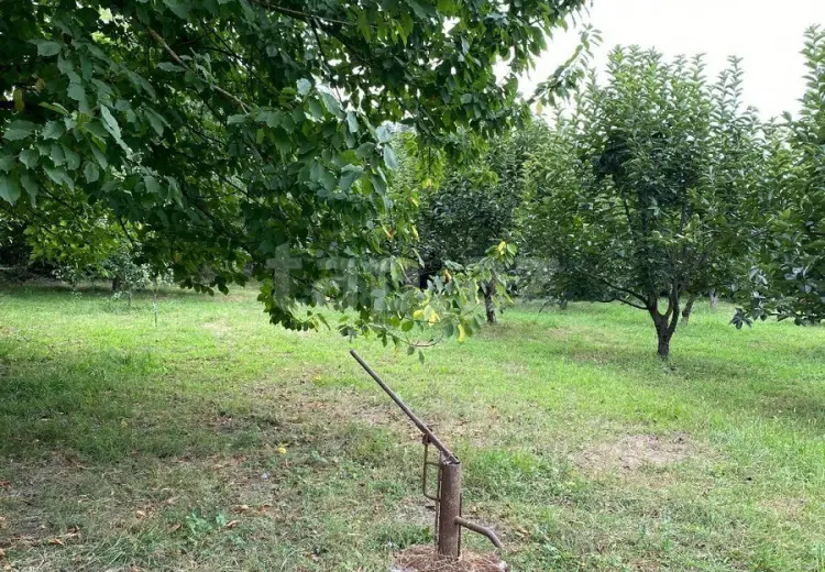 0 m² Obyekt / Ofis , Xaçmaz