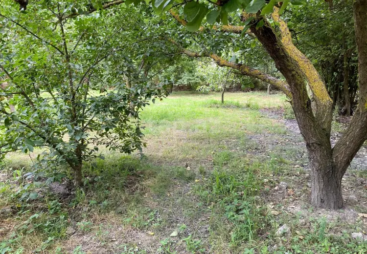 0 m² Obyekt / Ofis , Xaçmaz