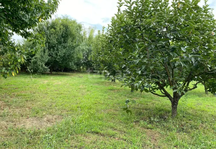 0 m² Obyekt / Ofis , Xaçmaz