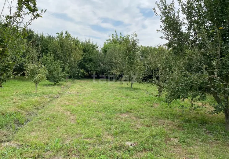 0 m² Obyekt / Ofis , Xaçmaz