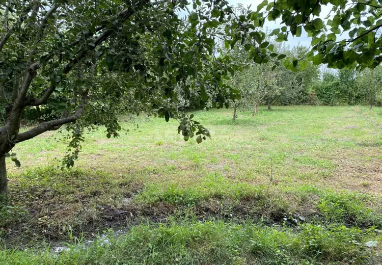 0 m² Obyekt / Ofis , Xaçmaz