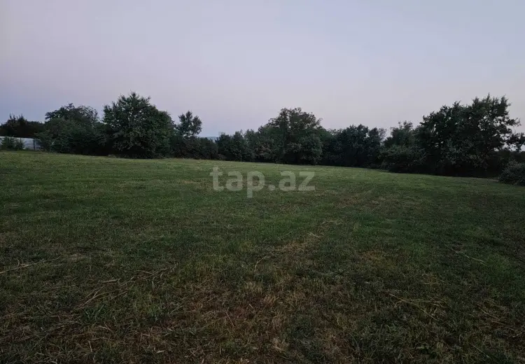 0 m² Obyekt / Ofis , Qəbələ