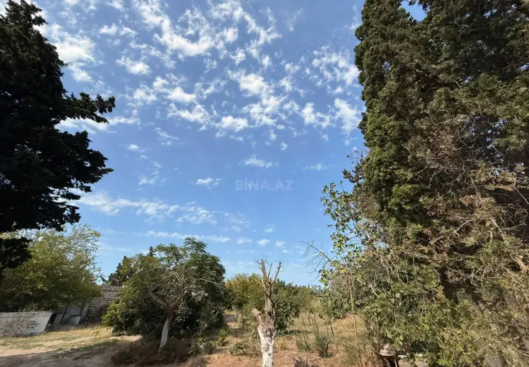 31 sot Torpaq Satılır, Nardaran qəs., Sabunçu, Bakı
