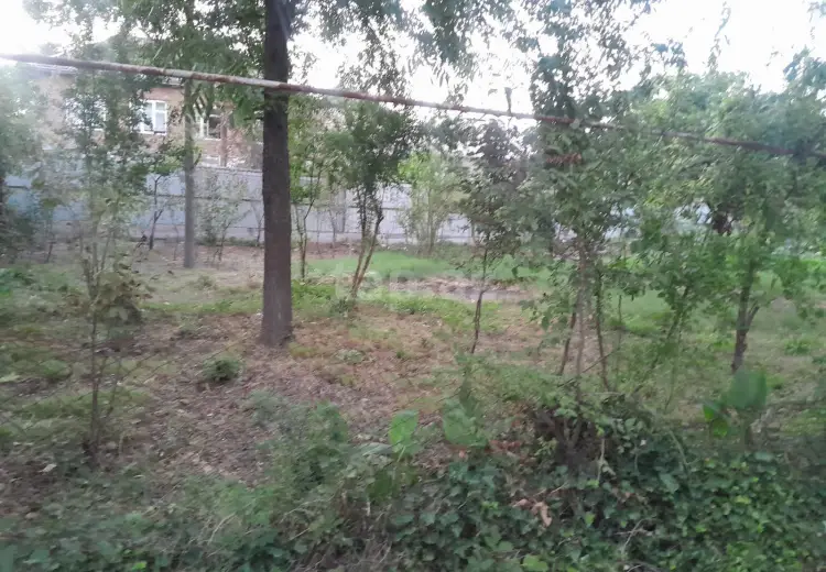 0 m² Obyekt / Ofis , Masallı