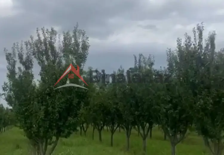 380 sot Torpaq Satılır, Goranboy
