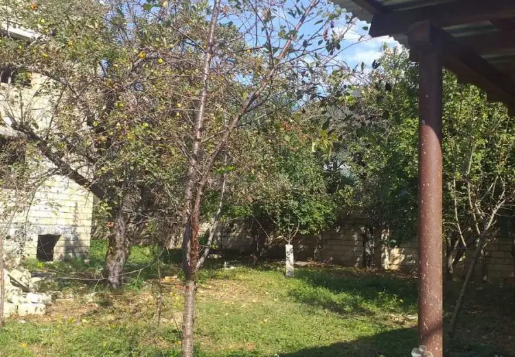 8 sot Torpaq Satılır, Qəbələ