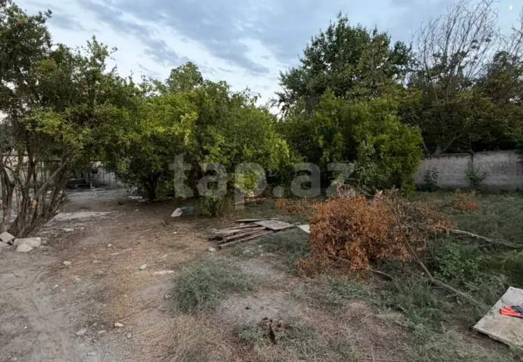 0 m² Obyekt / Ofis , Mingəçevir