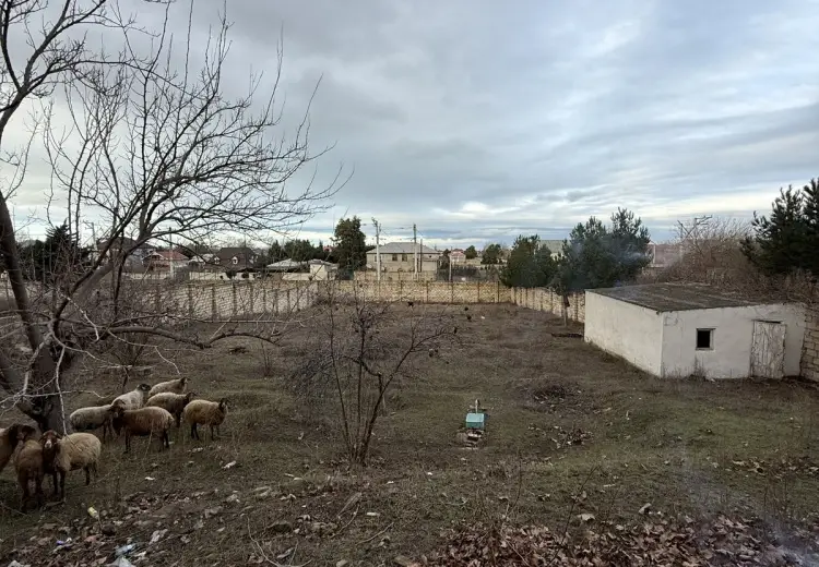 14 sot Torpaq Satılır, Novxanı, Abşeron