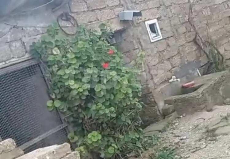 0 m² Obyekt / Ofis , Hövsan qəs., Suraxanı, Bakı