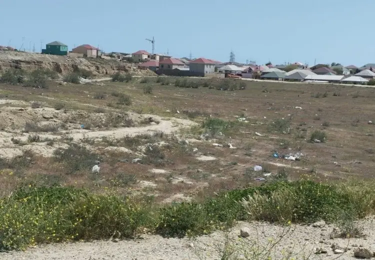 30 sot Torpaq Satılır, Saray, Abşeron