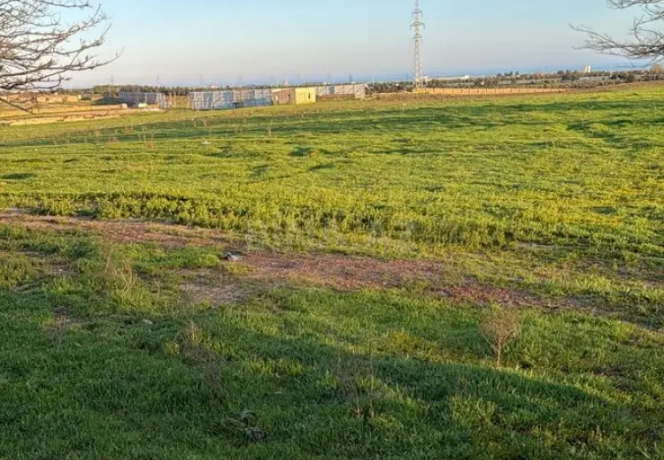 995 sot Torpaq Satılır, Zığ qəs., Suraxanı, Bakı