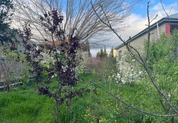 4.5 sot Torpaq Satılır, Zığ qəs., Suraxanı, Bakı