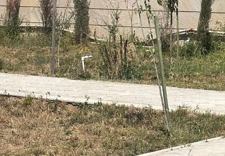 44 sot Torpaq Satılır, Sumqayıt