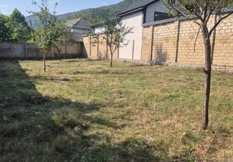 5 sot Torpaq Satılır, Qəbələ