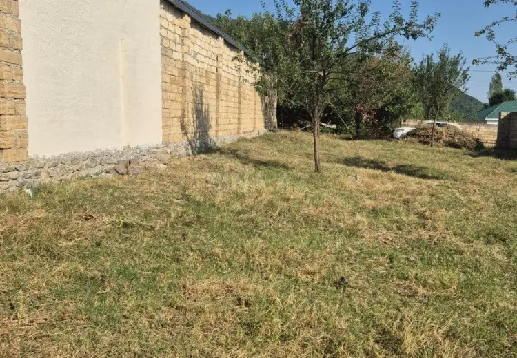 5 sot Torpaq Satılır, Qəbələ