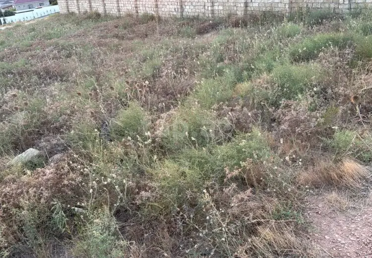0 m² Obyekt / Ofis , Mehdiabad, Abşeron