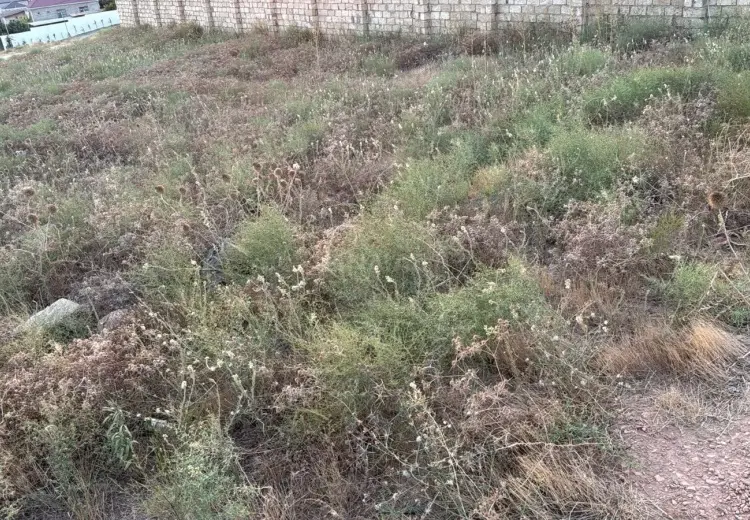 5 sot Torpaq Satılır, Mehdiabad, Abşeron