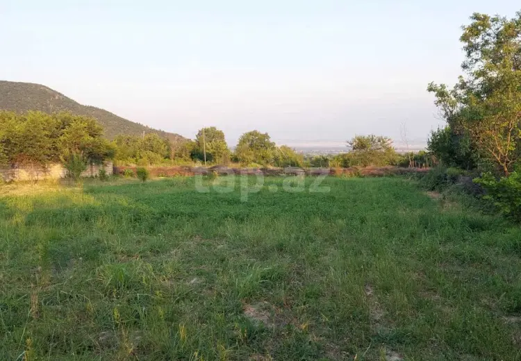 0 m² Obyekt / Ofis , Oğuz