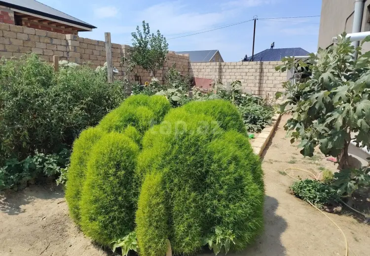 6 otaqlı mənzil , Saray, Abşeron