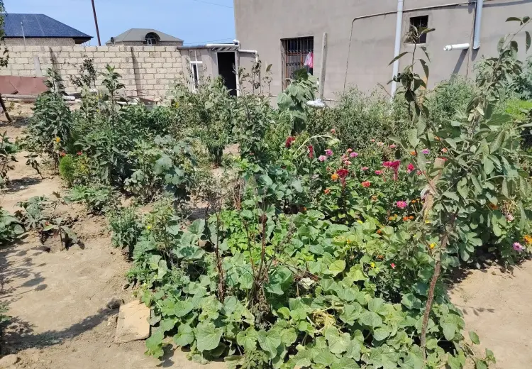 6 otaqlı mənzil , Saray, Abşeron