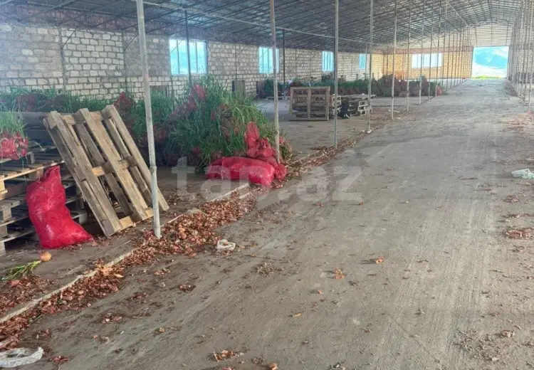 0 m² Obyekt / Ofis , Tovuz