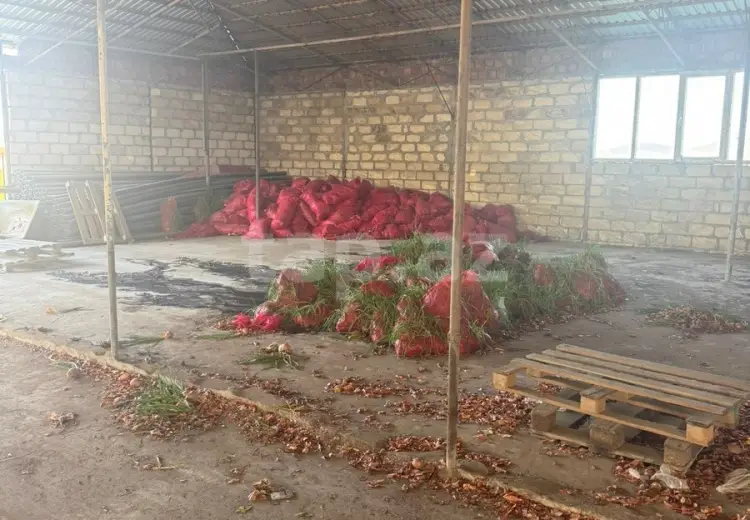 0 m² Obyekt / Ofis , Tovuz