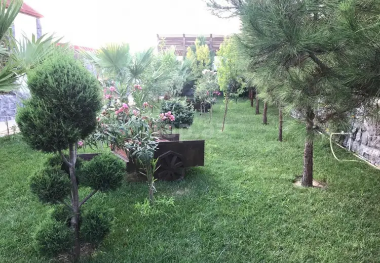 0 m² Obyekt / Ofis , Bakı